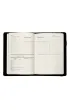 Planner A5 dzienny na gumk� Stripies PLR-25PR
