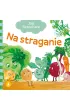 Na straganie