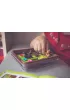 Smart Games Squirrels Go Nuts! (ENG) IUVI Games