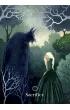 The Fairy Tale Heroine Oracle, karty do wr�enia