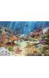 Puzzle 2000 el. Coral Reef Paradise CherryPazzi