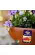 Substral Naw�z Burza Kwiat�w - balkon 300 g