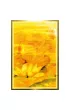 Wisdom of the Golden Path, karty do wr�enia
