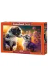 Puzzle 500 el. New Friendship Castorland