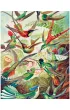 Puzzle 1000 el. Imagination Ernst Haeckel - Kolibry Good Loot