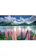 Puzzle 1500 el. Jezioro Sils/Szwajcaria Educa