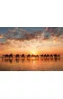 Puzzle 1000 el. Zach�d s�o�ca na Cable Beach Educa