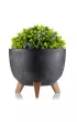 HowHomely Zestaw doniczek Rosa linea beton