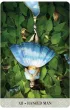 Tarot Of The Mystical Moments, karty do wr�enia