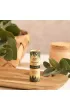 Ecosoft Balsam do ust, Botanical Organic, zero waste, Konopie 7.2 ml