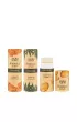 Ecosoft Balsam do ust, Botanical Organic, zero waste, Konopie 7.2 ml