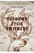 Duchowe �ycie zwierz�t