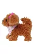 Chi Chi Love Pudelek szczeniaczek 16 cm Simba