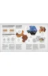 Periodic Table. From Alchemy to the Nuclear Age