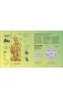 Periodic Table. From Alchemy to the Nuclear Age