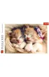 Puzzle 500 el. Spi�ce kotki Trefl