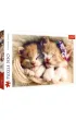 Puzzle 500 el. Spi�ce kotki Trefl