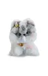 Creative Studio Sweet Puppy - szary kotek STnux