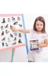 Magnesy rasy kotw 22 szt.