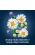 LEGO Botanicals Stokrotki 11508