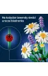 LEGO Botanicals Stokrotki 11508