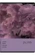 Zeszyt Top 2000 Botany A5 kratka, 70g 96 kartek
