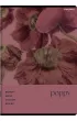 Zeszyt Top 2000 Botany A5 kratka, 70g 96 kartek