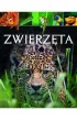 Zwierz�ta