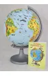 Globus 250 zoologiczny z opisem Multi Globe AR