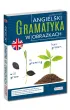 Angielski. Gramatyka w obrazkach