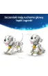 LEGO Classic Disney 101 dalmaty�czyk�w - Szczeniaczki Szcz�ciarz i Penny 43271