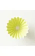 Origami Dripper M Zielony