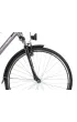 Romet Rower trekkingowy WAGANT 2023 srebrno-��ty 19 M