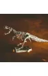 Crazy Science - Smoki i dinozaury Lisciani