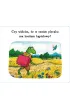 Pan �abka na wycieczce