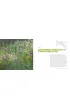 The Modern Professional Planting Designer