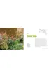 The Modern Professional Planting Designer