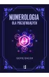 Numerologia dla początkujących – Gerie Bauer – okładka ebook