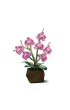 Puzzle Cubic Fun Orchidea