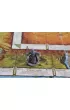 Talisman. Magia i Miecz