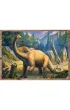 Puzzle 4w1 - Ciekawe Dinozaury (35+48+54+70 el.) Trefl