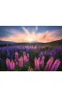 Puzzle 500 el. 2D ��ka Ravensburger