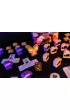 Root: Paczka Zaci�nych Podziemia PORTAL Portal Games