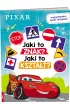 Disney Pixar. Jaki to znak? Jaki to kszta�t?