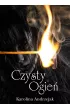Czysty ogień – Karolina Andrzejak – okładka ebook
