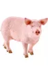 Puzzle 100 el. Ekologiczna �ywno�� + figurka Schleich