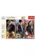 Puzzle 200 el. W �wiecie magii i czar�w Trefl