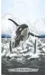 Animal Totem Tarot
