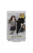 Lalka Harry Potter Komnata Tajemnic GCN30 mix Mattel