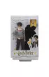 Lalka Harry Potter Komnata Tajemnic GCN30 mix Mattel